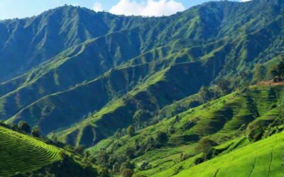Wisata Kota Bandung: Destinasi Favorit dengan Alam, Kuliner, dan Budaya Terbaik